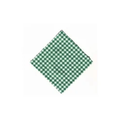 Tovaglietta quadrata a quadretti 15x15, tessuto, verde scuro, bocca: TO58-TO82